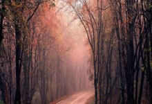 东莞证券老将回归意在IPO