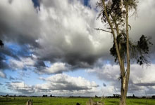 继“朱开谈亚运会LOL阵容：会以BLG为班底，阿水大概率不上”后，LPL传来两个好消息，“韩国放弃Kkoma”和“三个国家退出亚运会LOL项目”