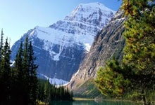 LOL冠军中单转战DOTA2，惨遭切割活动临时换人，急忙直播表忠心！